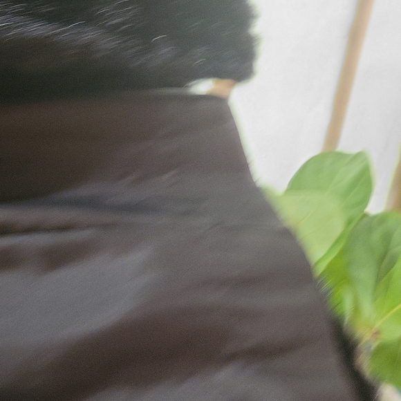 Vintage Sears Faux Fur Women's Coat Black  Size 12 - Picture 5 of 7